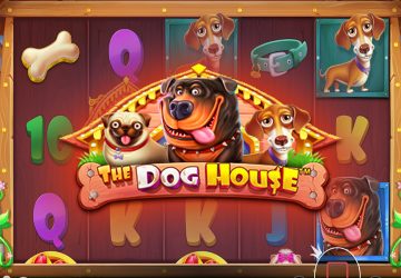 Microgaming - игровой автомат онлайн от Various с RTP 96.86%